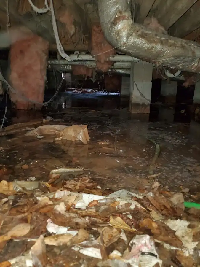 Crawl space flood assessment for Leak Detection & Repair in Two Rivers